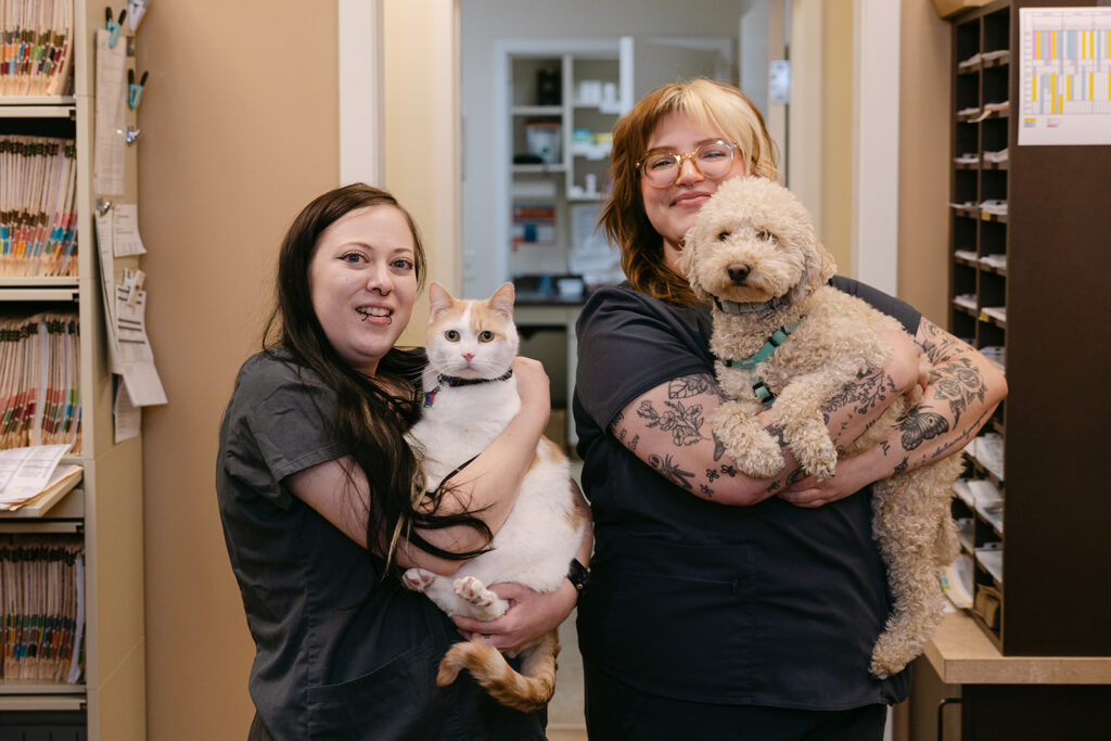 Veterinary staff members holding a cat and a small dog inside White Oaks Veterinary Hospital in Manheim, PA.