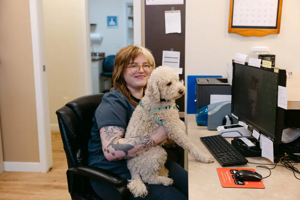 Team member at White Oaks Veterinary Hospital in Manheim, PA holding a small curly-coated dog while working at the reception desk.